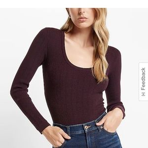 Beautiful Midnight Purple ( Plum) Knit Bodycon Bodysuit- Express Large